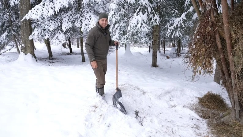 Зима в лісі не застає зненацька: як на Прикарпатті підтримують диких тварин у мороз