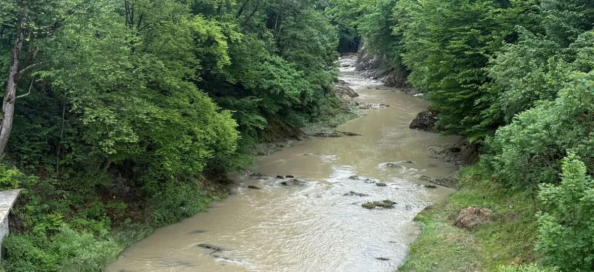 Небезпечний Прут та інші річки Коломийщини: як негода змінила водойми Прикарпаття